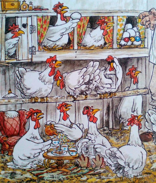 свен нурдквист куры