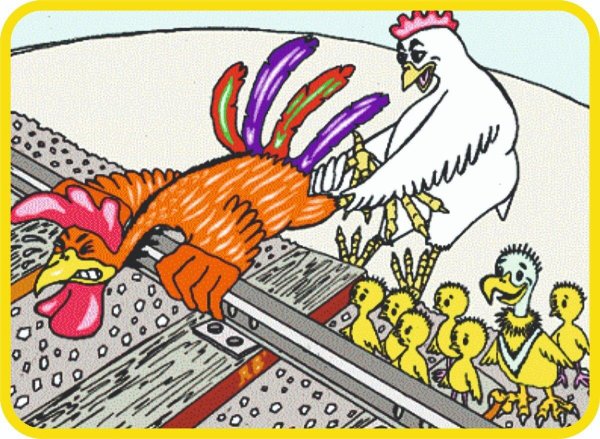 куры карикатура