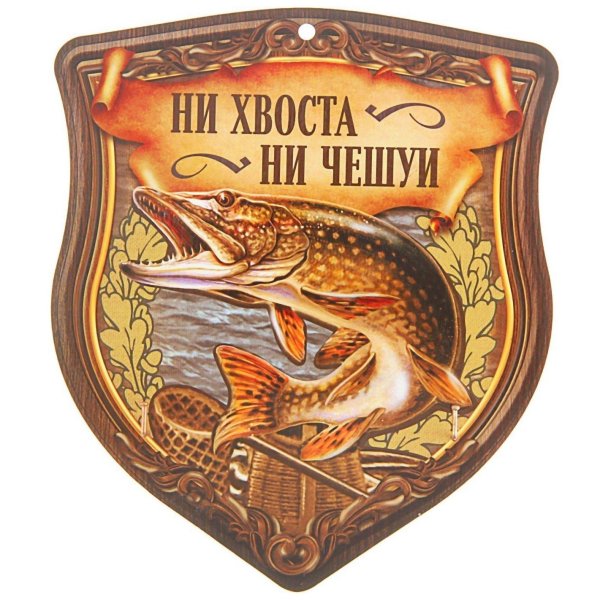ни хвоста