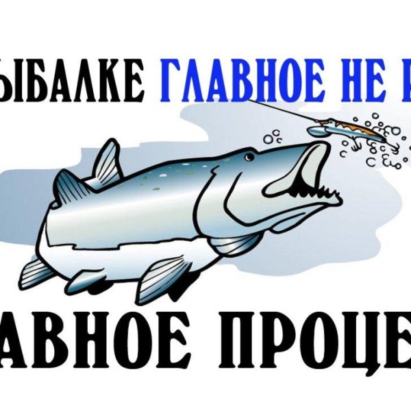 смешной лосось