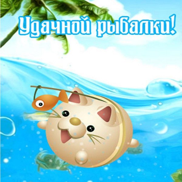 Удачной рыбалки