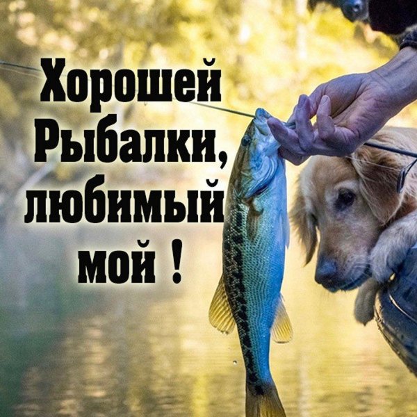 пожелание рыбаку перед рыбалкой