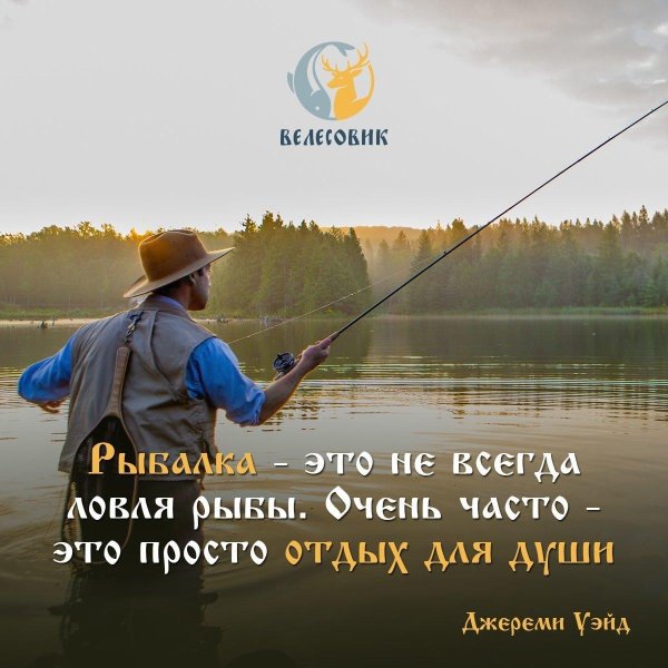 высказывания про рыбалку