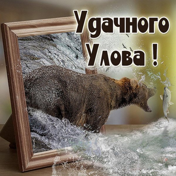 рыбалка удачный улов