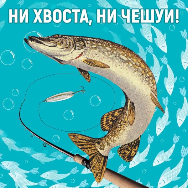 ни хвоста ни чешуи