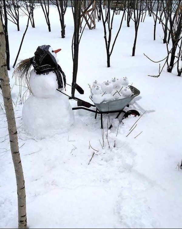 Снег мы сдаемся