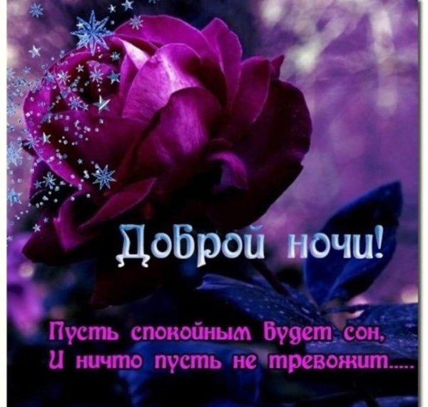 Хорошего вечера и доброй ночи