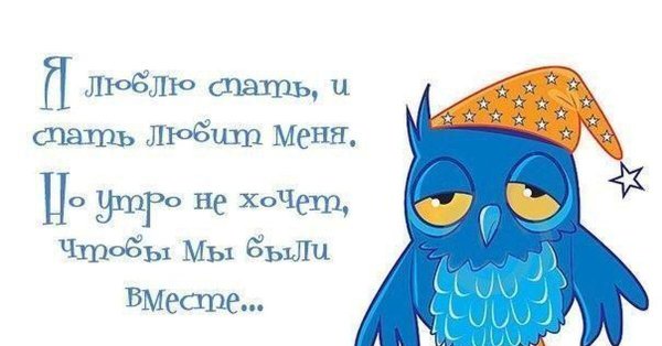 сонная сова