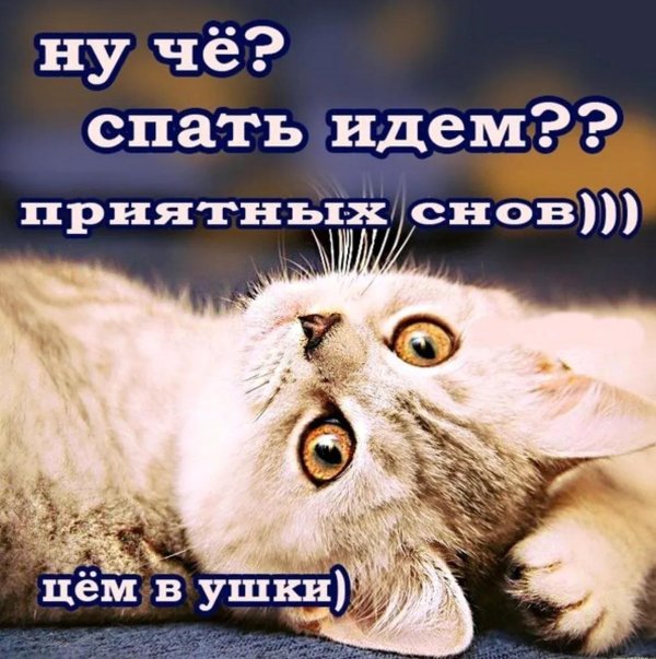 желаю хорошо выспаться