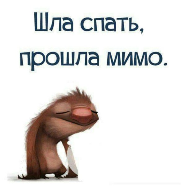 я сплю
