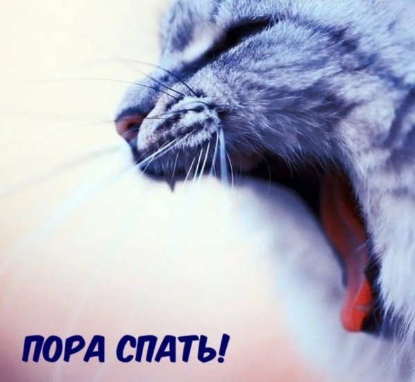 пора спать