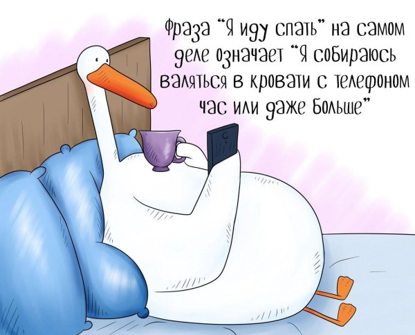 гусь прикольный