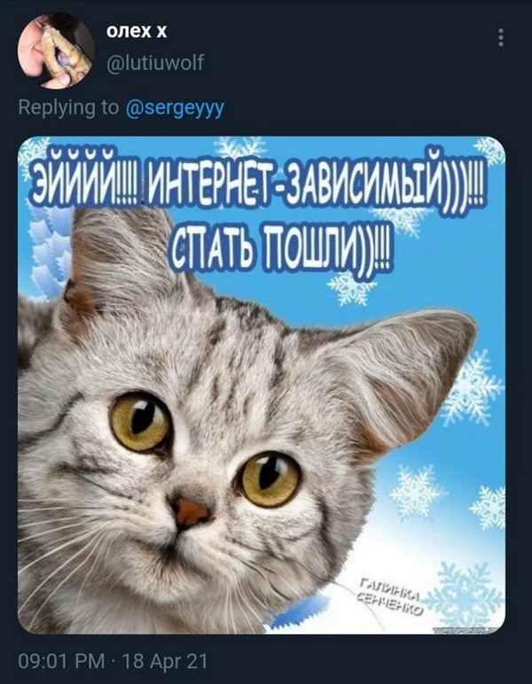 гаси кампуктер