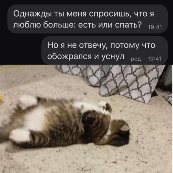 споки ноки