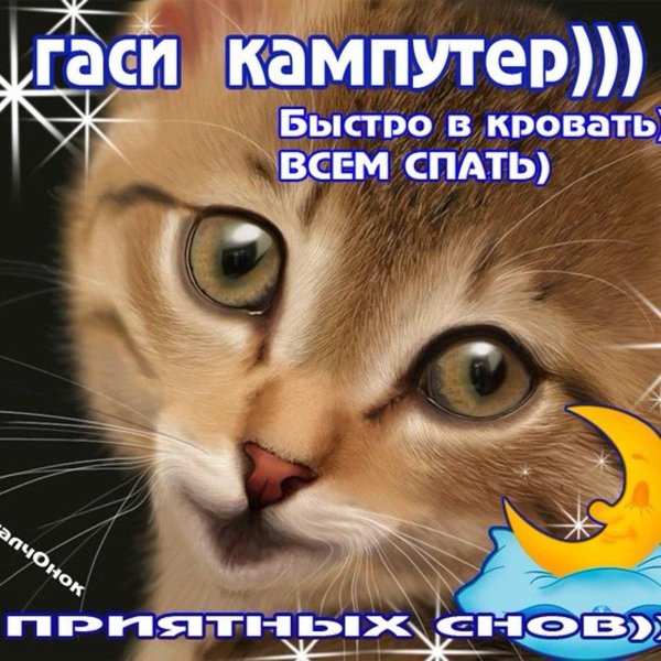 гаси кампуктер