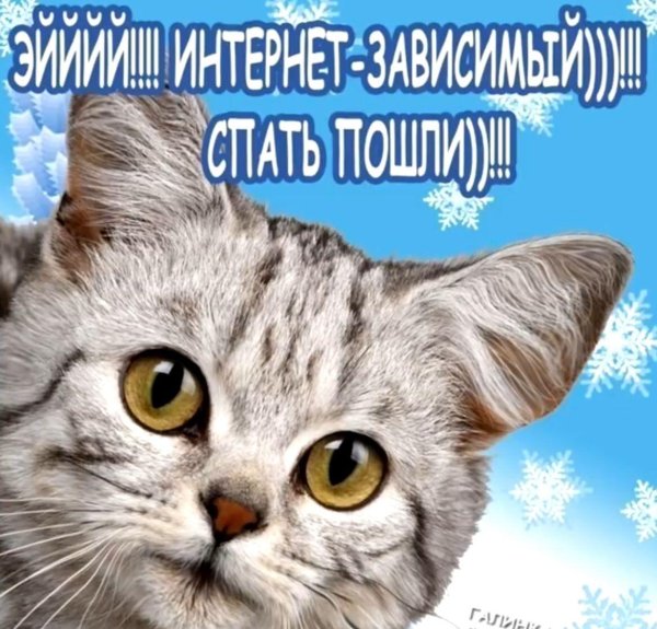 гаси кампуктер