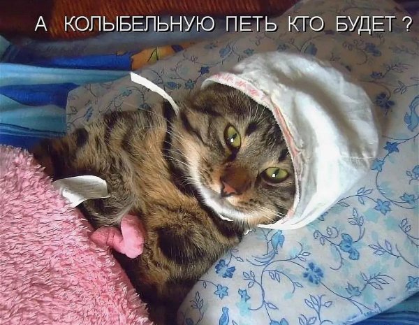 спокойной ночи ржачные