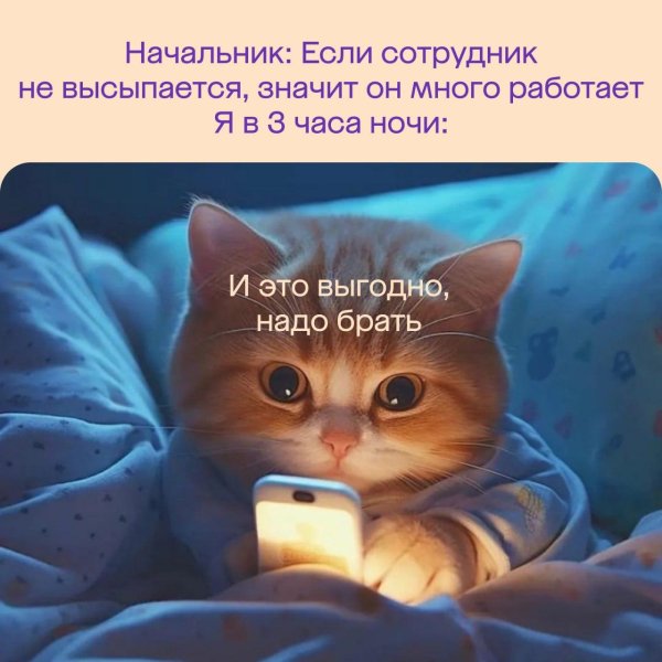 спокойная ночи