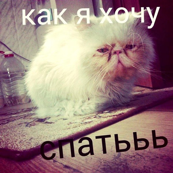 хочу спати