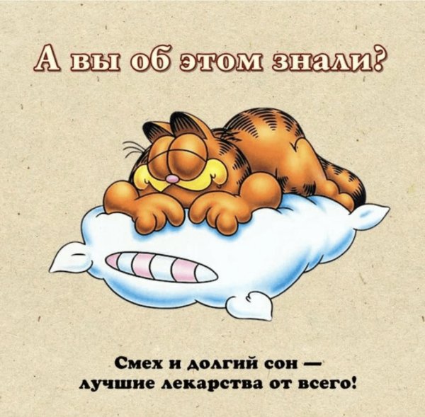 спят мультяшки