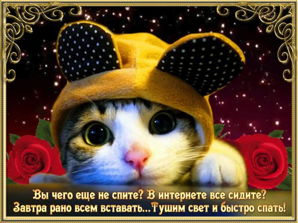 открытка до завтра