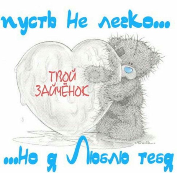 мишка тедди