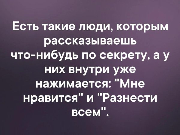 мудрая цитата