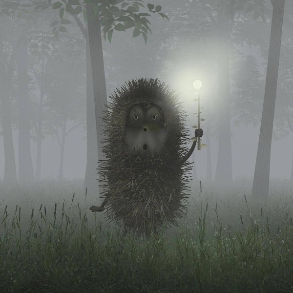 ежик тумане