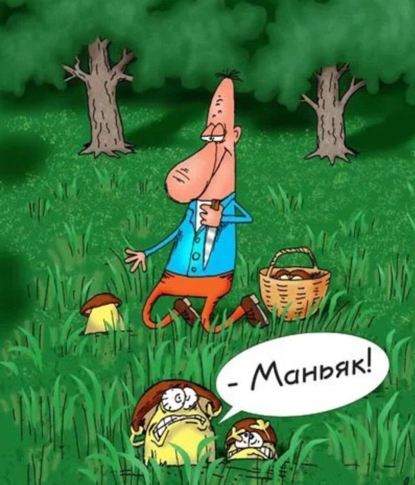грибник карикатура