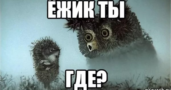 ежик мем