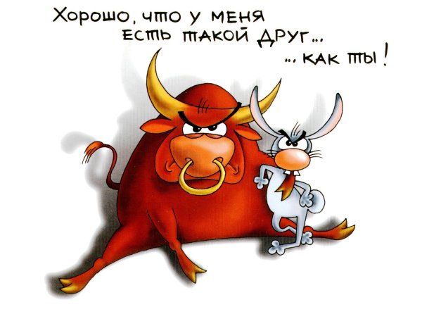 веселый бык