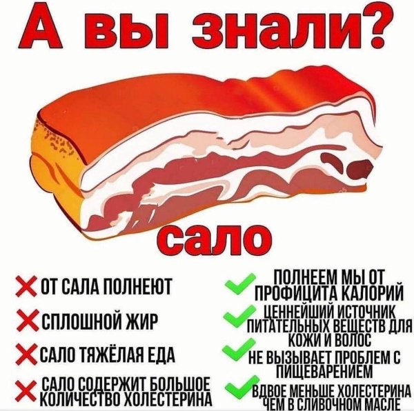 чем полезно сало