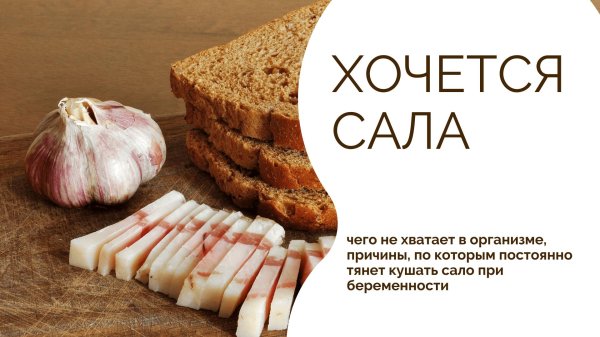 польза сала