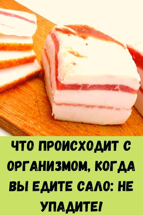 что такое сало