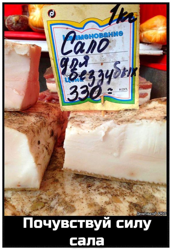 приколы в картинках свежие