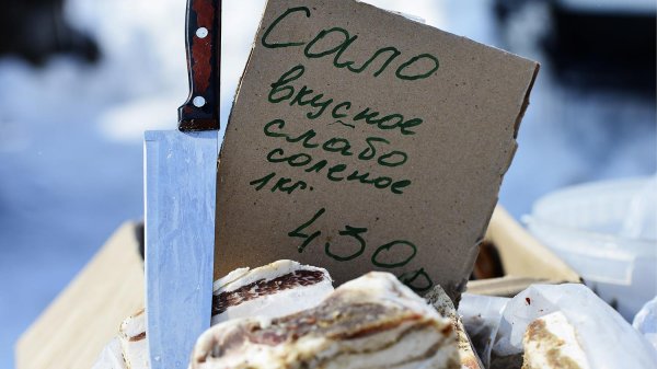 свиное сало