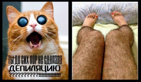 эпиляция смешные картинки