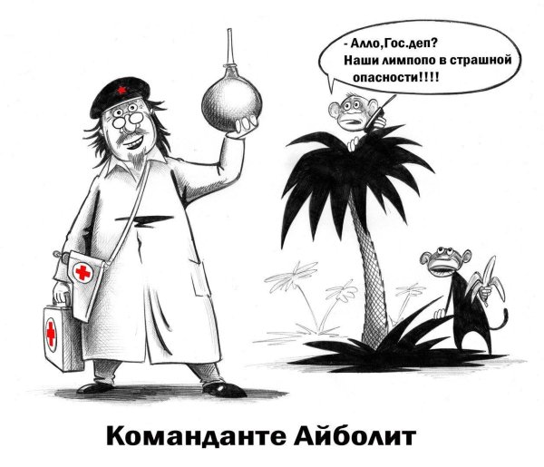 айболит доктор