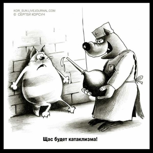 приколы карикатуры