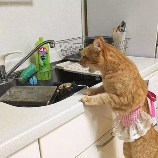 никакой помощи в этом доме