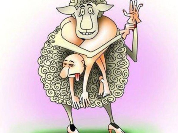 карикатура овцы