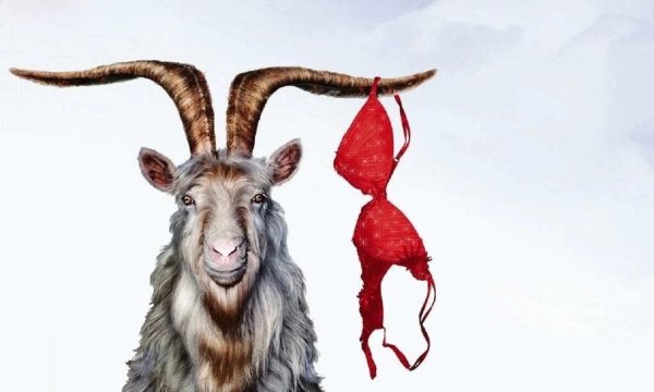 мужики козлы