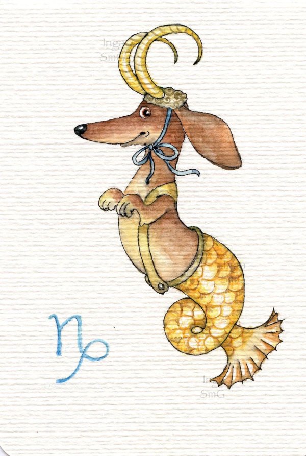 знаки зодиака собаки