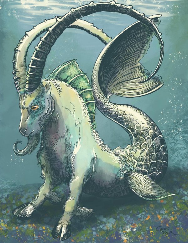 рыба козлик