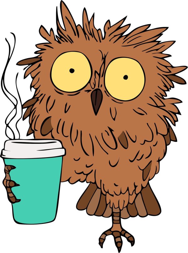 сова пьет кофе