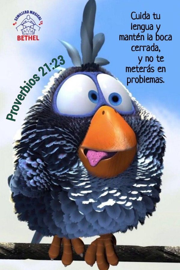 птичка из мультика