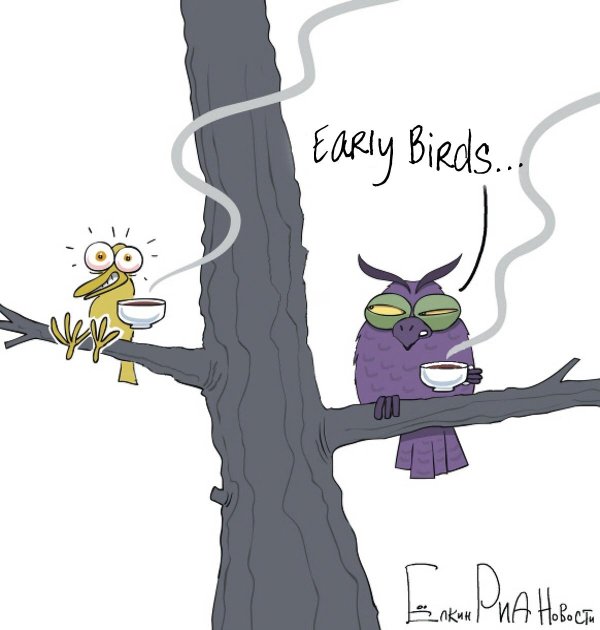 шутки про сову и жаворонка