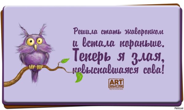 смешное высказывание