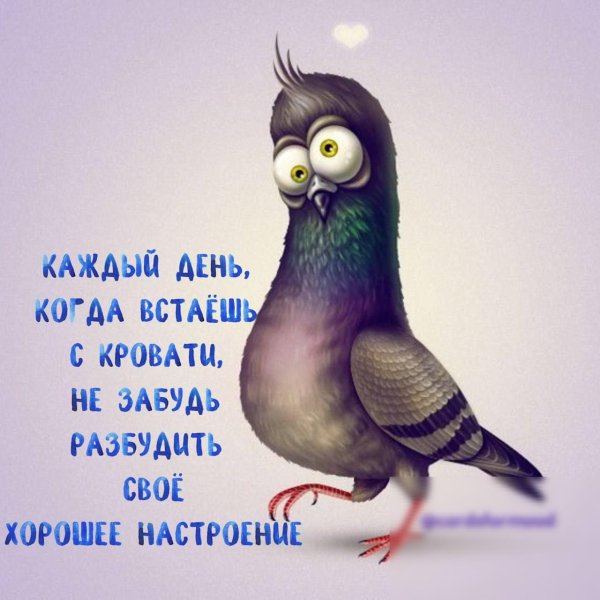 голубь мультяшный