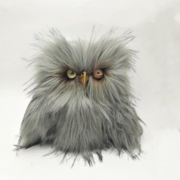 взъерошенный совёнок